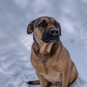 Meet your Posher, Alexandra